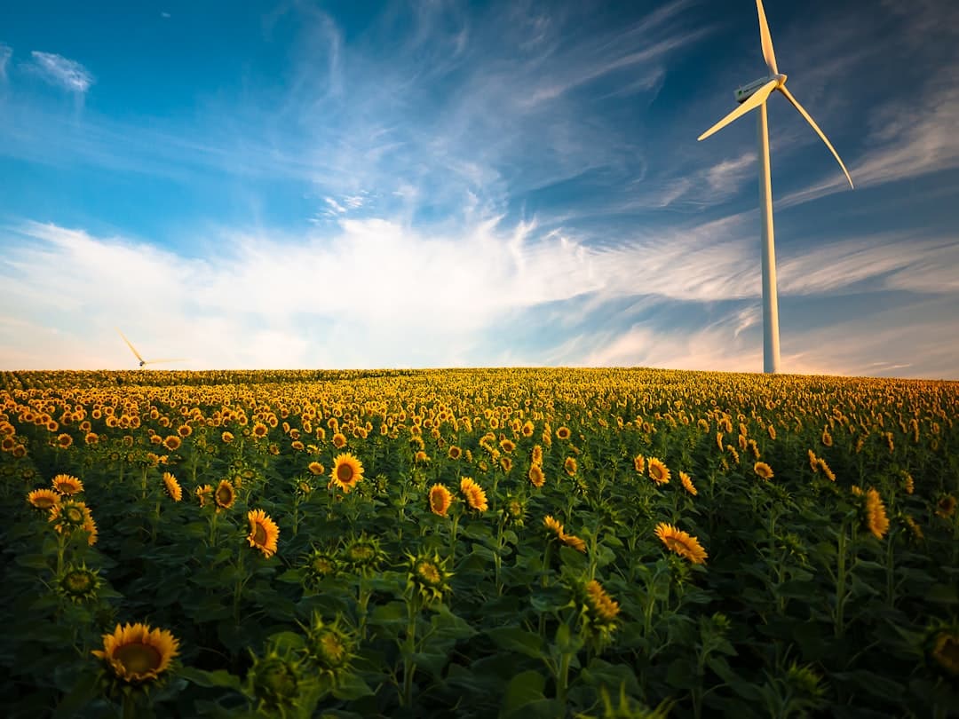 découvrez l'importance d'un environnement durable, ses enjeux et les solutions pour préserver notre planète. engageons-nous ensemble vers un avenir écologique et responsable.