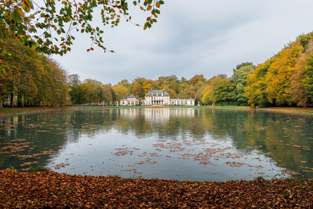 découvrez la magie des couleurs automnales avec notre guide sur les teintes chaudes et vibrantes de l'automne. plongez dans un univers de feuilles dorées, de paysages pittoresques et d'inspiration pour vos promenades en plein air.