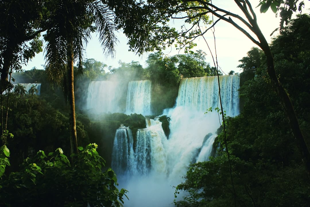 découvrez le refuge parfait au cœur d'un écrin de verdure, où la nature s'épanouit dans une oasis tropicale. plongez dans un monde de sérénité, entre paysages luxuriants et atmosphère relaxante, idéal pour des vacances inoubliables.