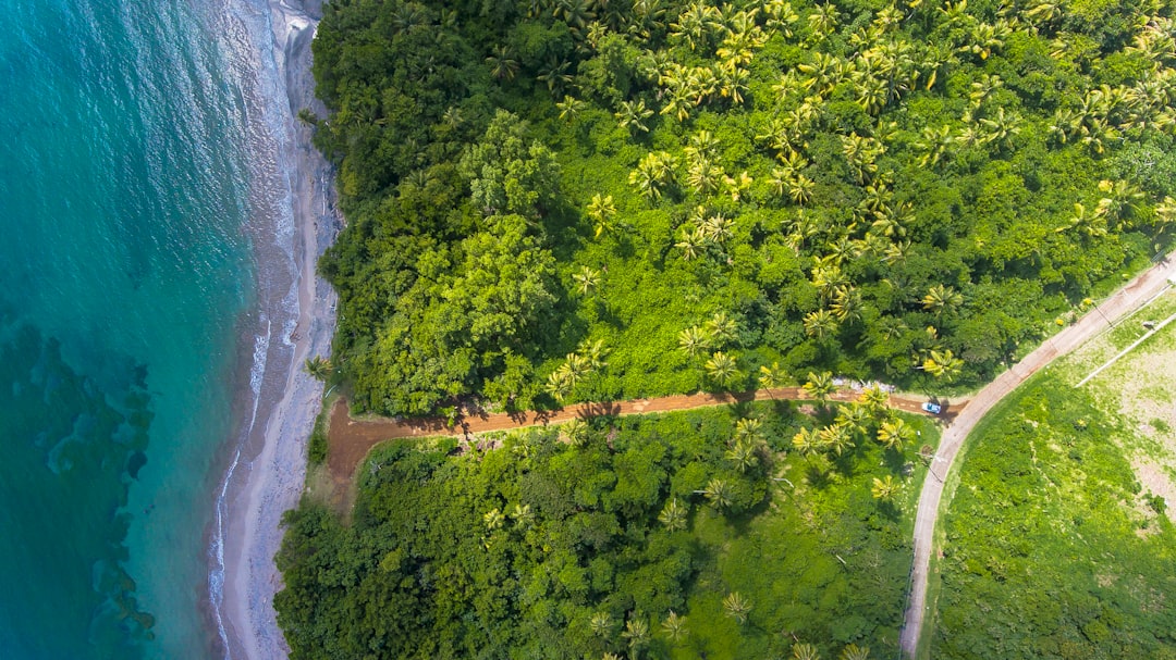 découvrez des conseils et astuces pour un voyage durable, qui préserve l'environnement tout en enrichissant votre expérience. explorez des destinations écoresponsables et apprenez à voyager de manière éthique.