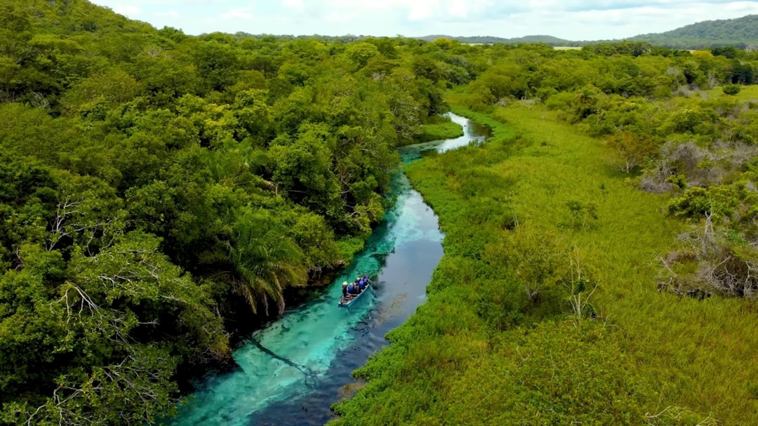 découvrez l'écotourisme : une manière responsable de voyager qui respecte l'environnement et les cultures locales. explorez des destinations durables, vivez des expériences authentiques et contribuez à la préservation de la nature tout en profitant des merveilles de notre planète.