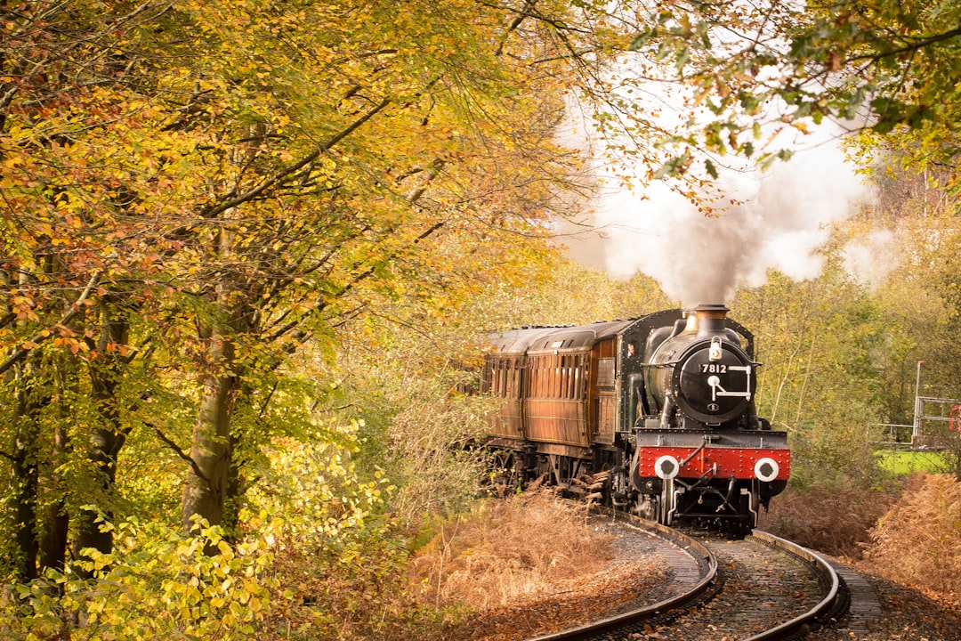 découvrez l'univers fascinant des trains : de l'histoire des locomotives à vapeur aux solutions innovantes du rail moderne. embarquez pour un voyage inoubliable à travers les paysages enchanteurs et explorez les différentes options de transport ferroviaire disponibles aujourd'hui.